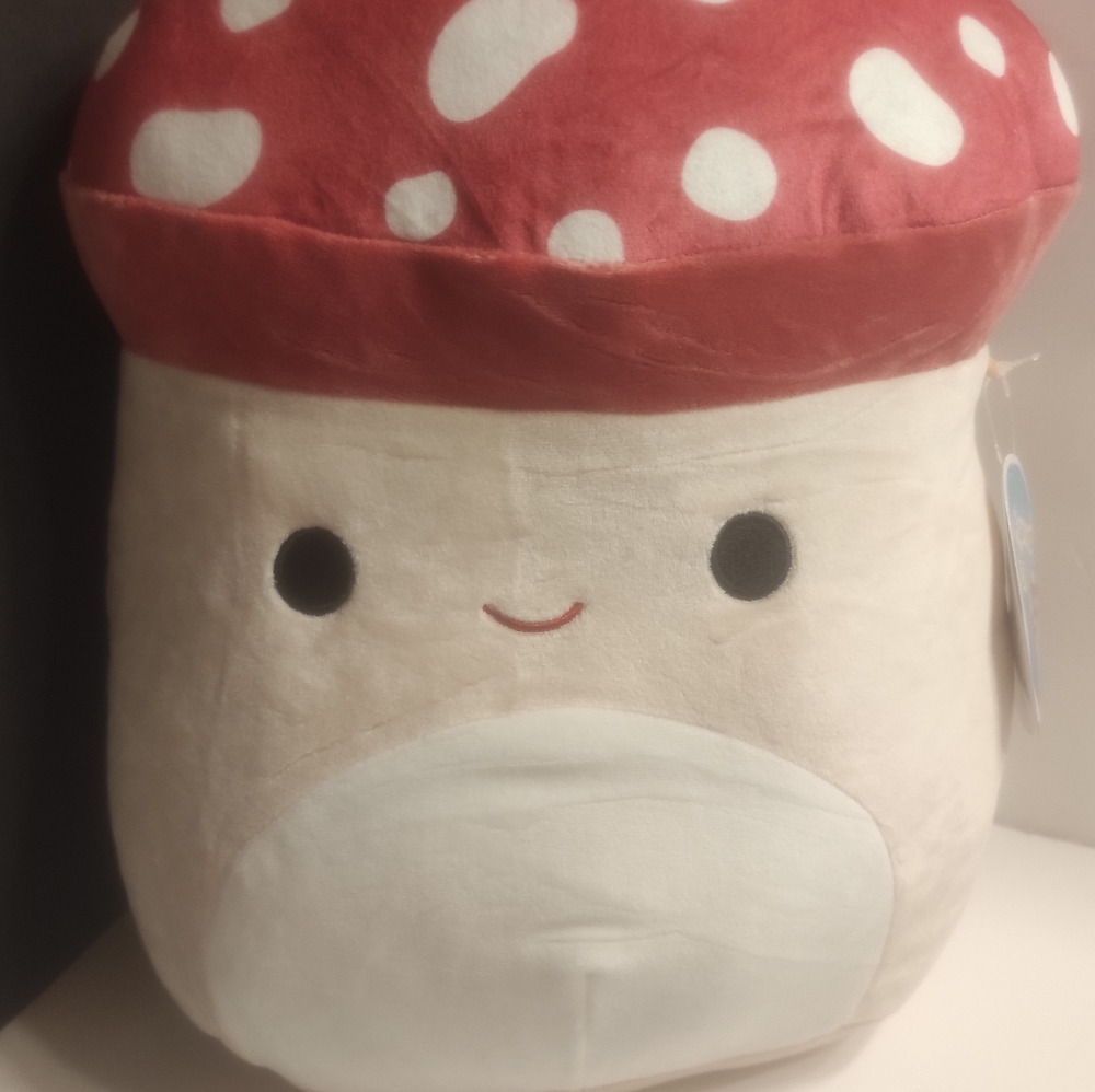 Malcolm 12in squishmallows